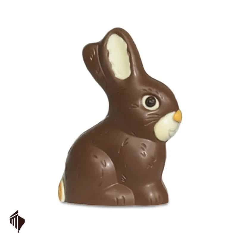 Σοκολατένιος Λαγός 200g
